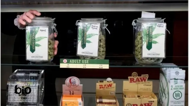 గంజాయి చట్టబద్ధం చేస్తారా