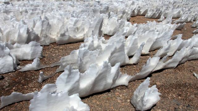 penitentes