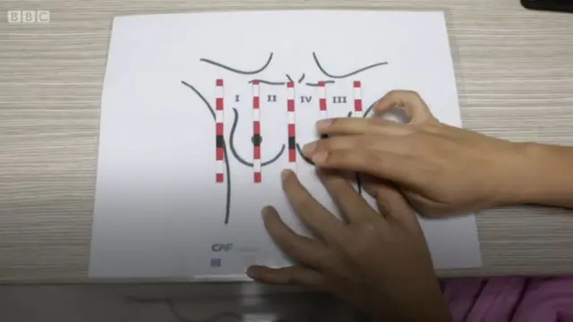 যেভাবে পরীক্ষাটি চালানো হয়।