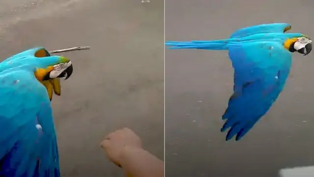 Duda voa ao lado da moto de Eduardo