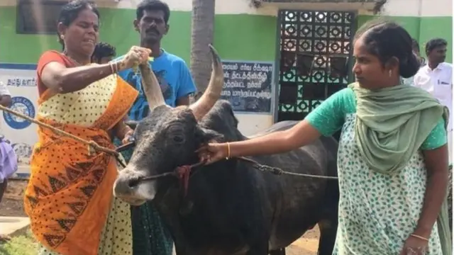 Bi Kanagarasu humpatia ramu chakula maalum na pia kuangalia afya yake.