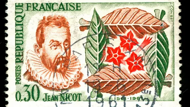 Jean Nicot