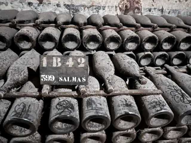Botellas de champán cubiertas de polvo en la cavas