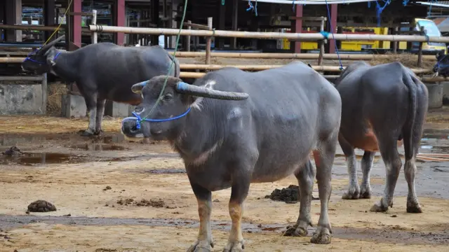 சித்தரிப்புப் படம்