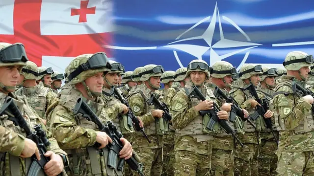 Грузинські сили