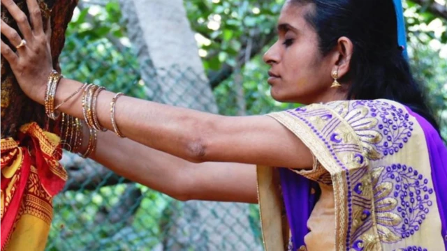 "شجرة الخلود" التي يحج إليها الهندوس