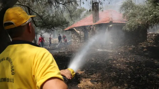 Türkiyədə meşə yanğınları