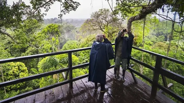 Duas pessoas com binóculos em uma área verde