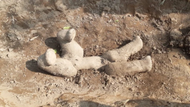 ఏనుగులు