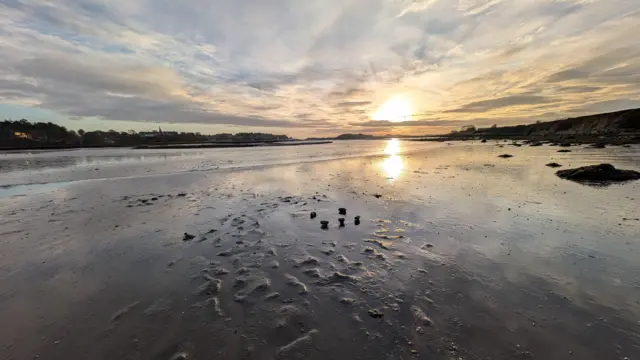 Un marco de pastos marinos en la marisma a lo largo del río Aln.
