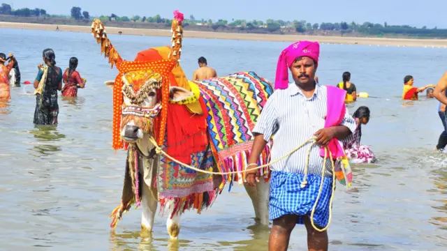 గంగిరెద్దు 