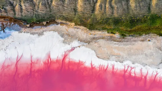 La costa de un lago color rosa