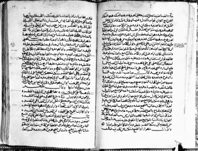 ألف ليلة وليلة