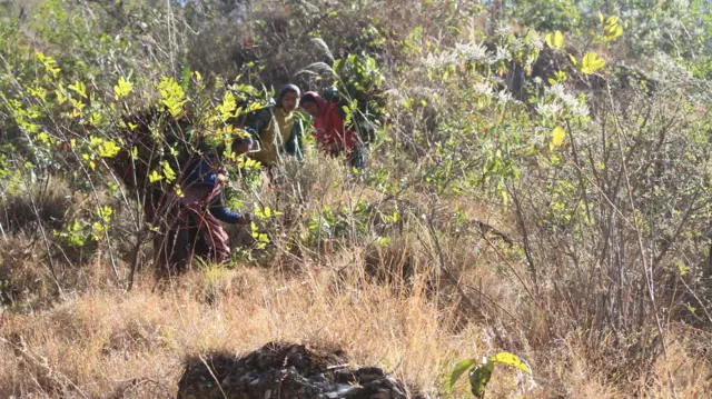 गांव का जीवन जंगल से ही जुड़ा है- ममता देवी