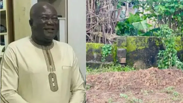 Ayobami Olabiyi ati saare rẹ