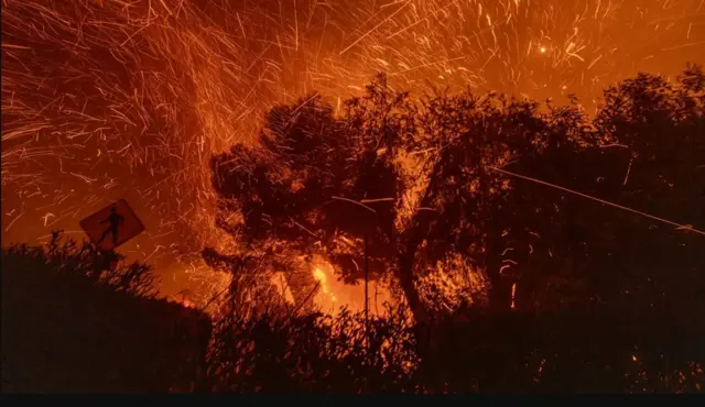 Intense fire engulfing vegetation 