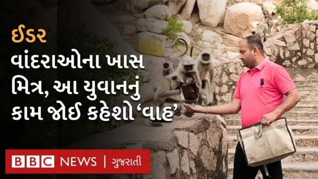 અબોલ પક્ષીઓ માટે સેવા કાર્ય