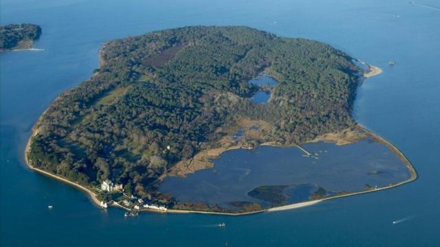 Dinosaur footprint spotted on Brownsea Island