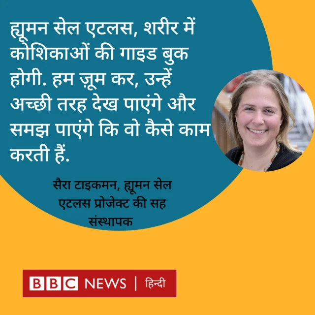 सैरा टाइकमन 