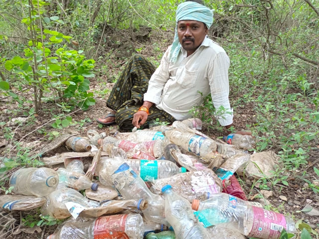 కొమెర జాజి