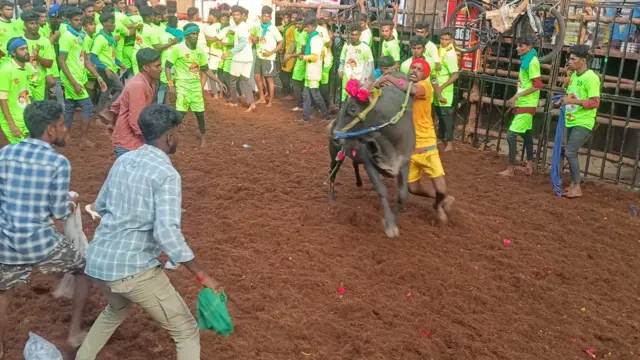 அவனியாபுரம் ஜல்லிக்கட்டு