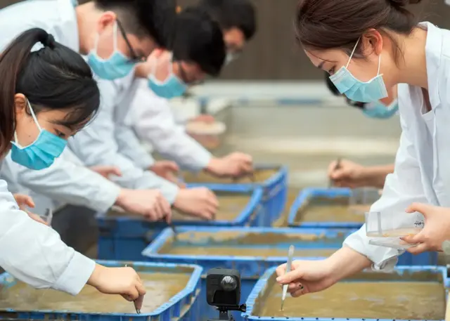 Scientifiques chinois