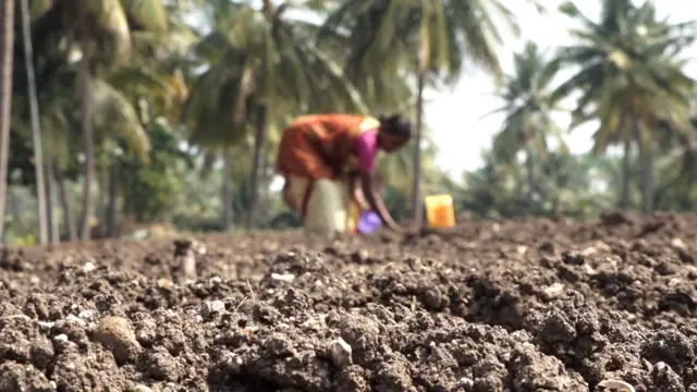 வாச்சாத்தி வழக்கும் பின்னணியும்