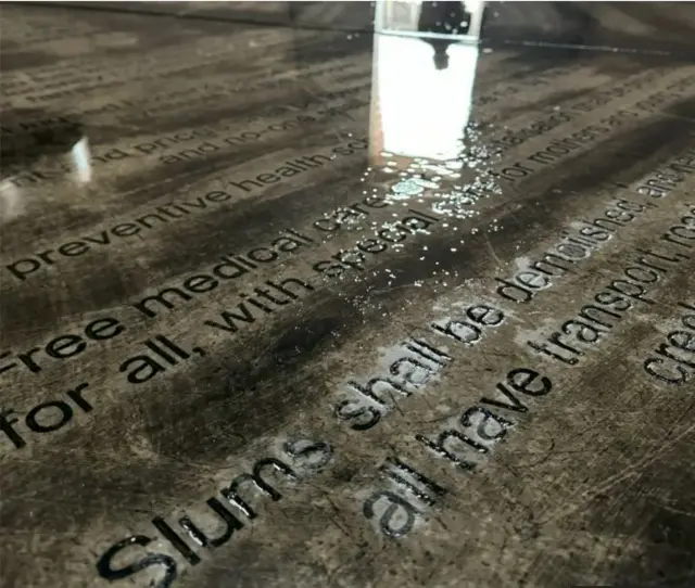 Ntokozo Dube e gosiri na ugwu ncheta Freedom Charter dị na Kliptown Saụt Afrịka 2024