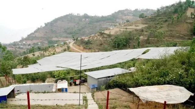 બોધિચિત્ત વૃક્ષ, નેપાળ