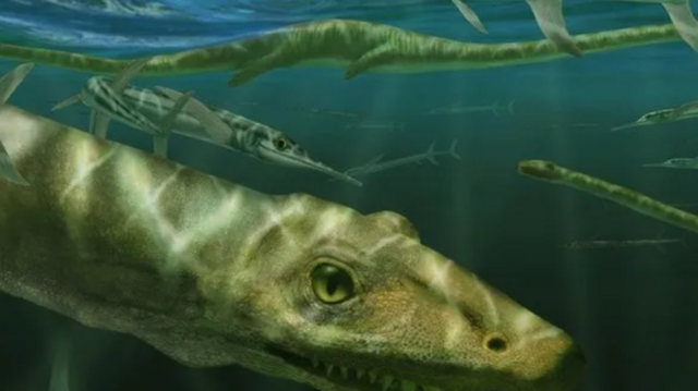 24 கோடி ஆண்டுகளுக்கு முந்தைய ‘டிராகன்’