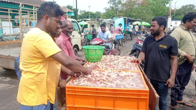 రొయ్యలు