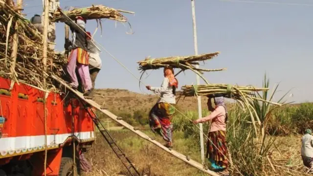 బీడ్, మహారాష్ట్ర, హిస్టెరెక్టమీ, చెరకు కార్మికులు
