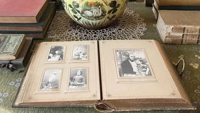 Les enfants de Darwin