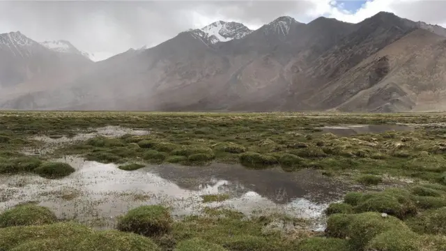 బీబీసీ ఉమెన్ ఆఫ్ ది ఇయర్