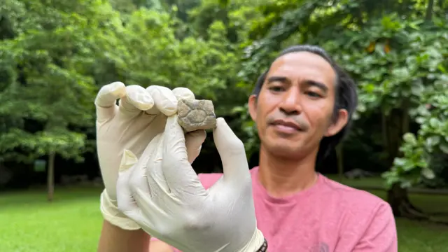 Perbedaan teknologi alat batu antara hominin dan Homo sapiens terlihat begitu kontras. 