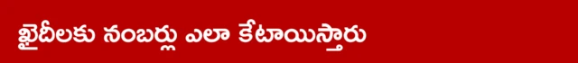 నంబర్లు ఎలా కేటాయిస్తారు 