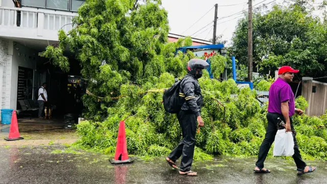 කොළඹ ඇතුළු ප්‍රදේශ කිහිපයකට ඊයේ රාත්‍රියේ (මැයි 29) වැසි සමග බලපෑ තද සුළං තත්ත්වය හේතුවෙන් ගස් කඩා වැටී නිවාසවලට හානි සිදුවීම් වාර්තා වී තිබේ.
කොළඹ ගාලු පාර, මැරයින් ඩ්‍රයිව් ප්‍රදේශය, කොල්ලුපිටිය සහ ග්‍රෑන්ඩ්පාස් ඇතුළු ප්‍රදේශවල ගස් කඩා වැටීම්, නිවාසවලට හානි සිදුවීම්, දැන්වීම් පුවරුවලට හානි සිදුවීම් ආදිය ඒ අනුව නිරීක්ෂණය විය.

