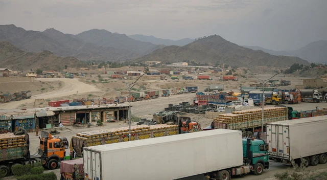 ارشیف تصویر