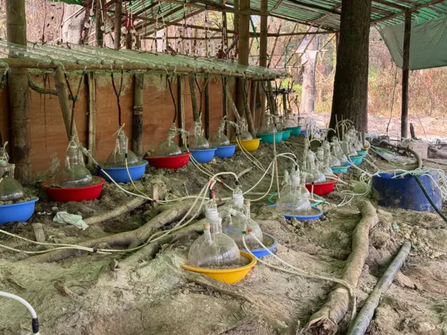 မူးယစ်ဆေးချက်လုပ်ရာမှာသုံးတဲ့ပစ္စည်းတွေလို့ဆို 