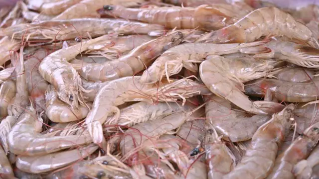 ఆంధ్రప్రదేశ్, ఆక్వా, రొయ్యల సాగు, అమెరికా ఆంక్షలు, భారత్, ఎగుమతులు