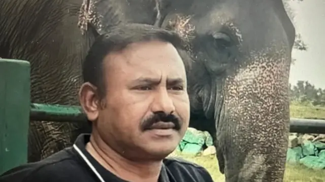 மக்னா யானைகள் ஆண் யானைகள் தானா? இவை ஆக்ரோஷமாக இருப்பது ஏன்?