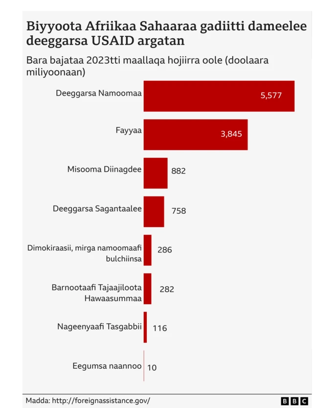 Biyyoota Afriikaa Sahaaraan gadii 