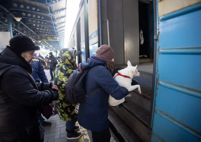 Дівчина у синій куртці заходить у потяг разом з білим собачкою 