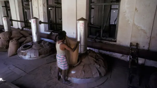 గంధపు చెక్కల పొడిని బ్రాయిలర్స్లో వేస్తున్న వ్యక్తి