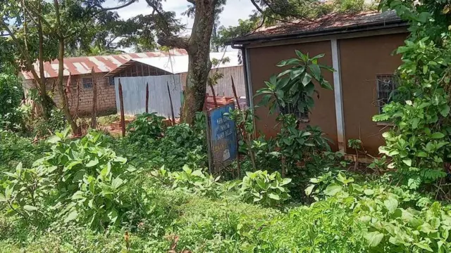 Mana kitaabaa Dambi Doolloo