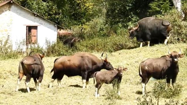 கொடைக்கானல், ஊட்டிக்குச் செல்ல மே-7 முதல் இ-பாஸ் நடைமுறை