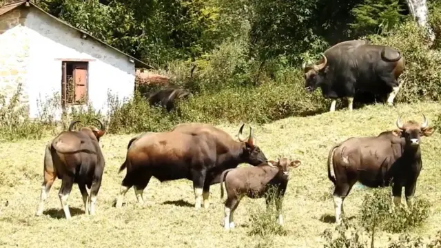 கொடைக்கானல், ஊட்டிக்குச் செல்ல மே-7 முதல் இ-பாஸ் நடைமுறை