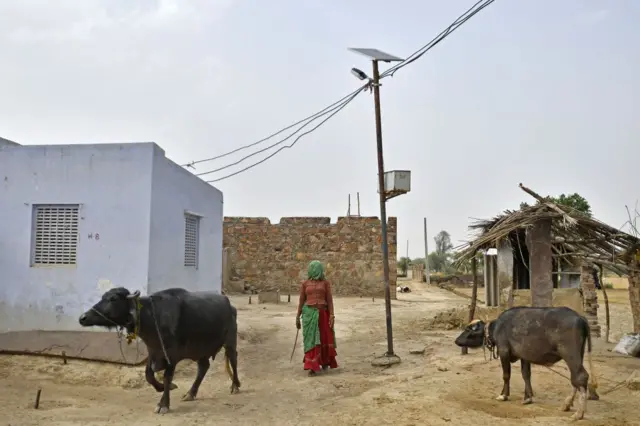 પ્રતીકાત્મક તસવીર