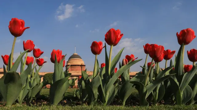 मुघल गार्डन