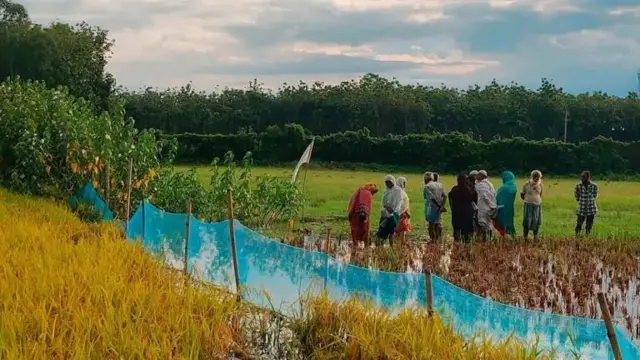 গতবছর আসামের কয়েকজন বাসিন্দাকে পুশ ব্যাক করার পরে কুড়িগ্রাম সীমান্তে নো ম্যানস্ ল্যান্ডে তাদের কয়েকজনকে দেখা যায় - ফাইল ছবি